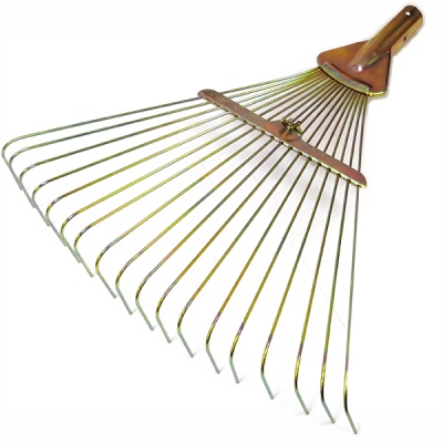 Основное изображение