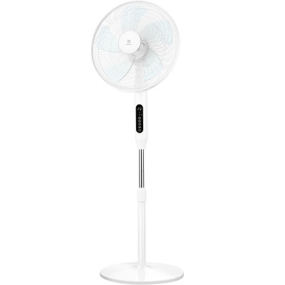 Основное изображение