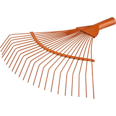 Основное изображение