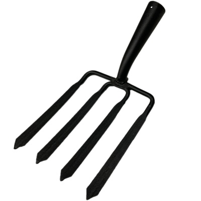 Основное изображение