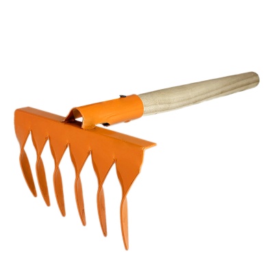 Основное изображение