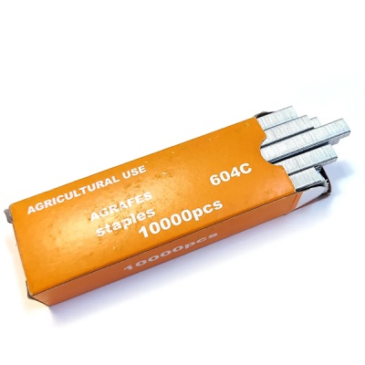 Основное изображение